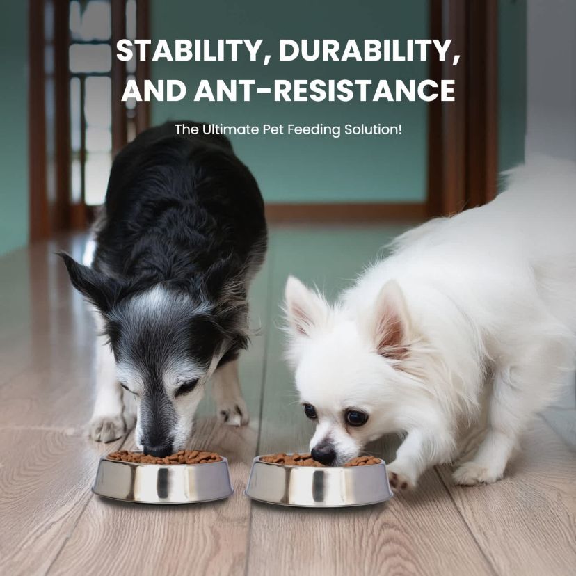 2 Pack Anti Ant Stainless Steel Non Skid Pet Bowl for Dog or Cat - 16 oz - 2 cup