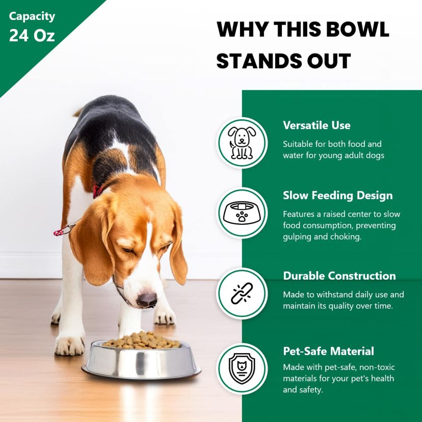 2 Pack Anti Ant Stainless Steel Non Skid Pet Bowl for Dog or Cat - 24 oz - 3 cup
