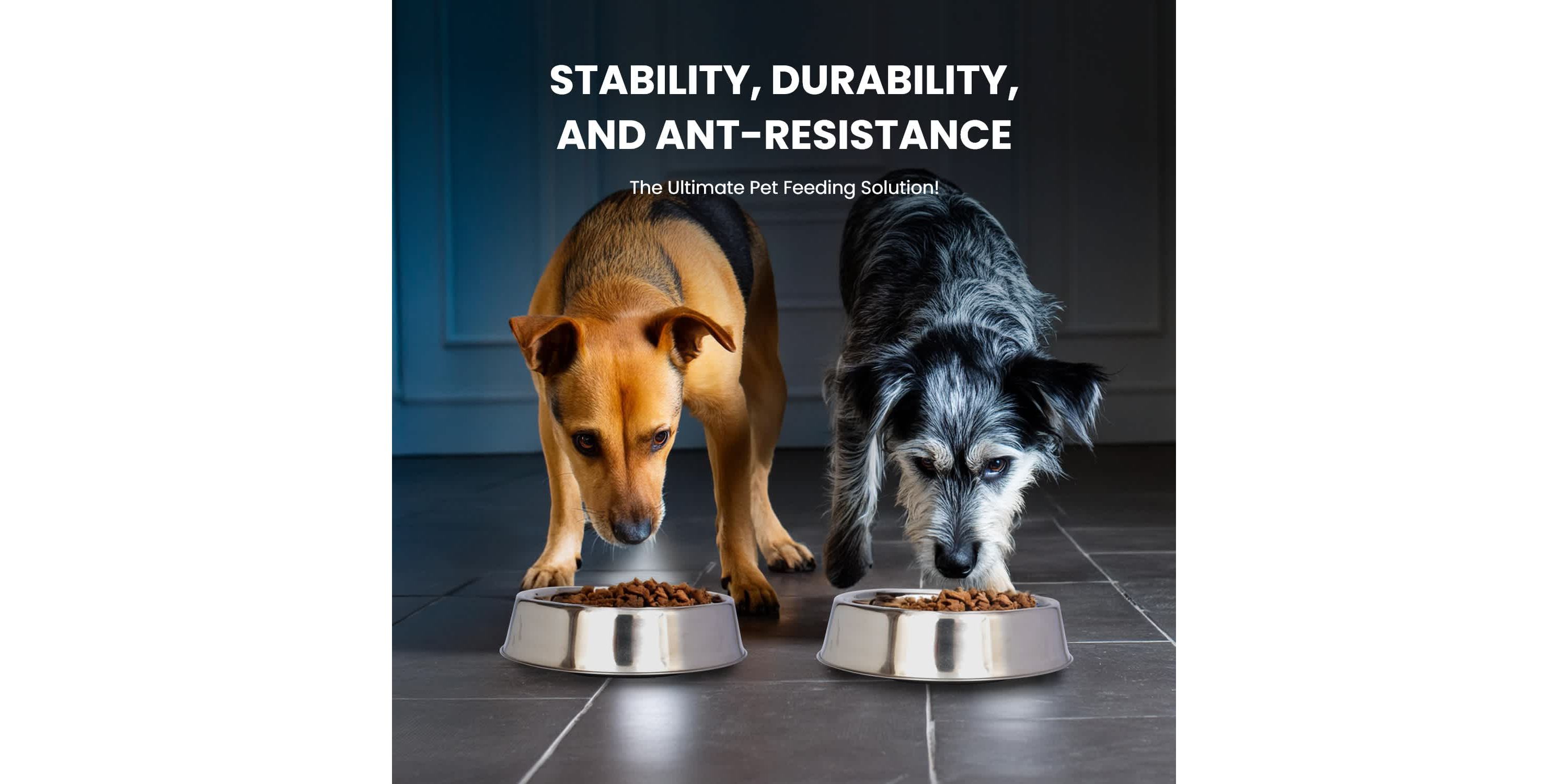 2 Pack Anti Ant Stainless Steel Non Skid Pet Bowl for Dog or Cat - 24 oz - 3 cup