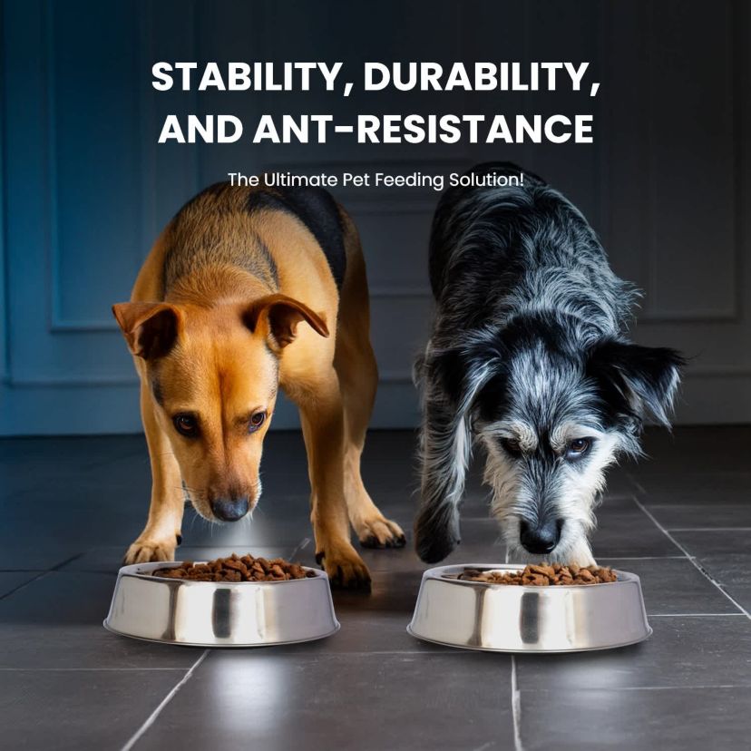 2 Pack Anti Ant Stainless Steel Non Skid Pet Bowl for Dog or Cat - 24 oz - 3 cup