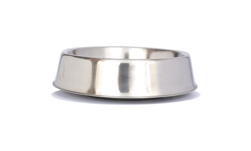 2 Pack Anti Ant Stainless Steel Non Skid Pet Bowl for Dog or Cat - 24 oz - 3 cup