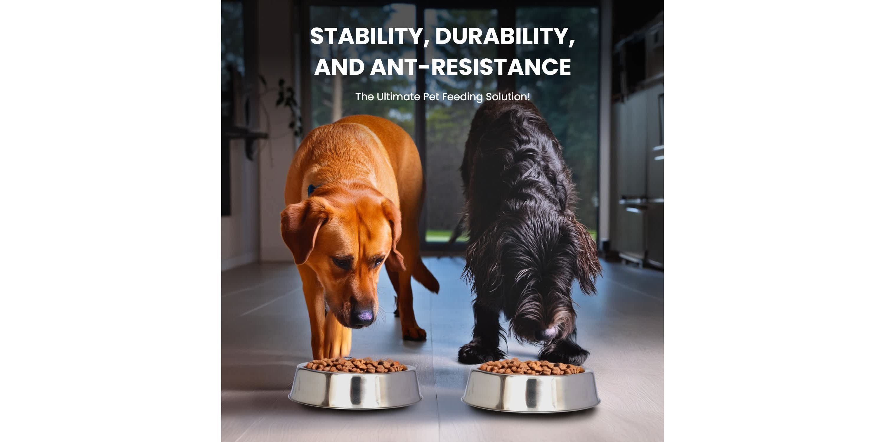 2 Pack Anti Ant Stainless Steel Non Skid Pet Bowl for Dog or Cat - 32 oz - 4 cup