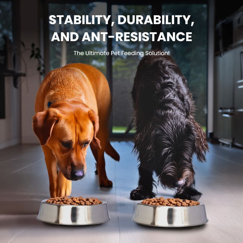 2 Pack Anti Ant Stainless Steel Non Skid Pet Bowl for Dog or Cat - 32 oz - 4 cup