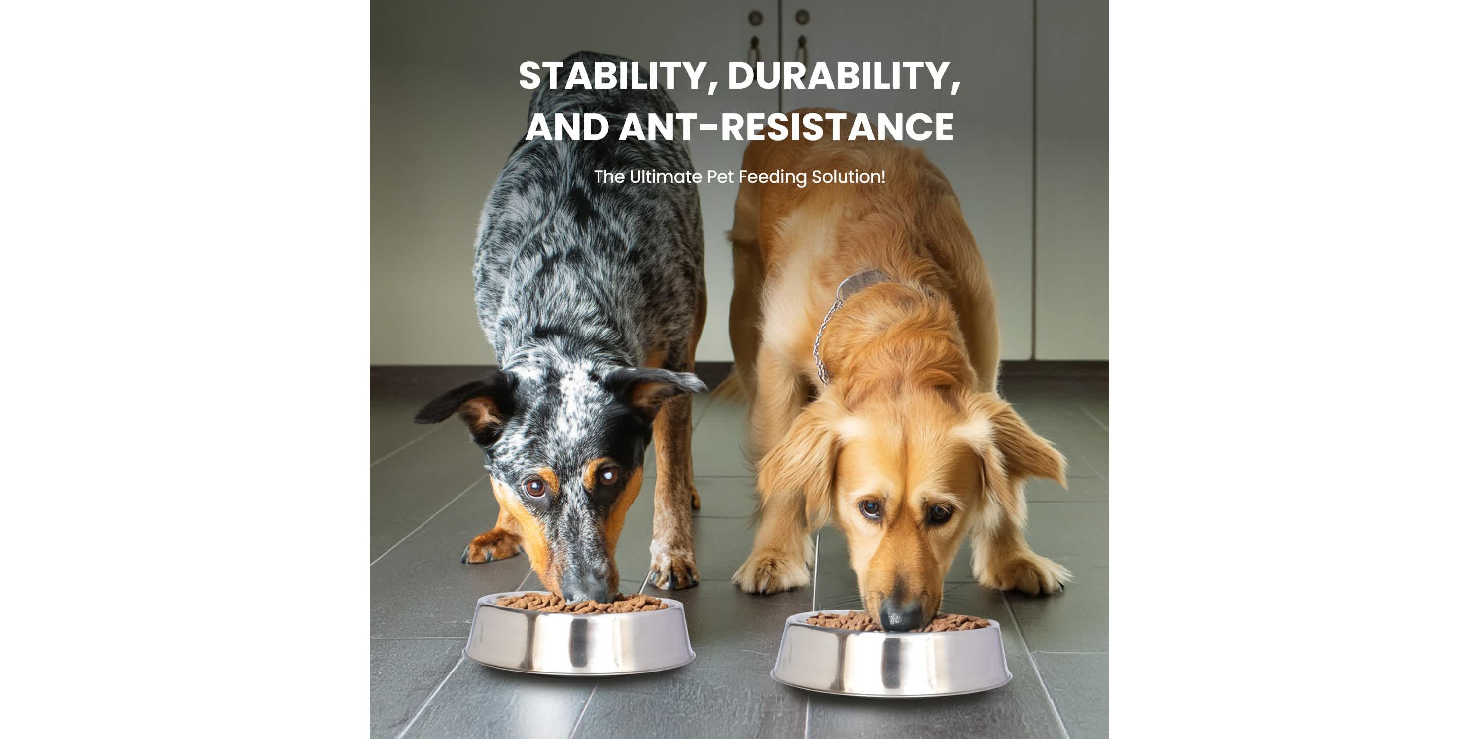 2 Pack Anti Ant Stainless Steel Non Skid Pet Bowl for Dog or Cat - 64 oz - 8 cup