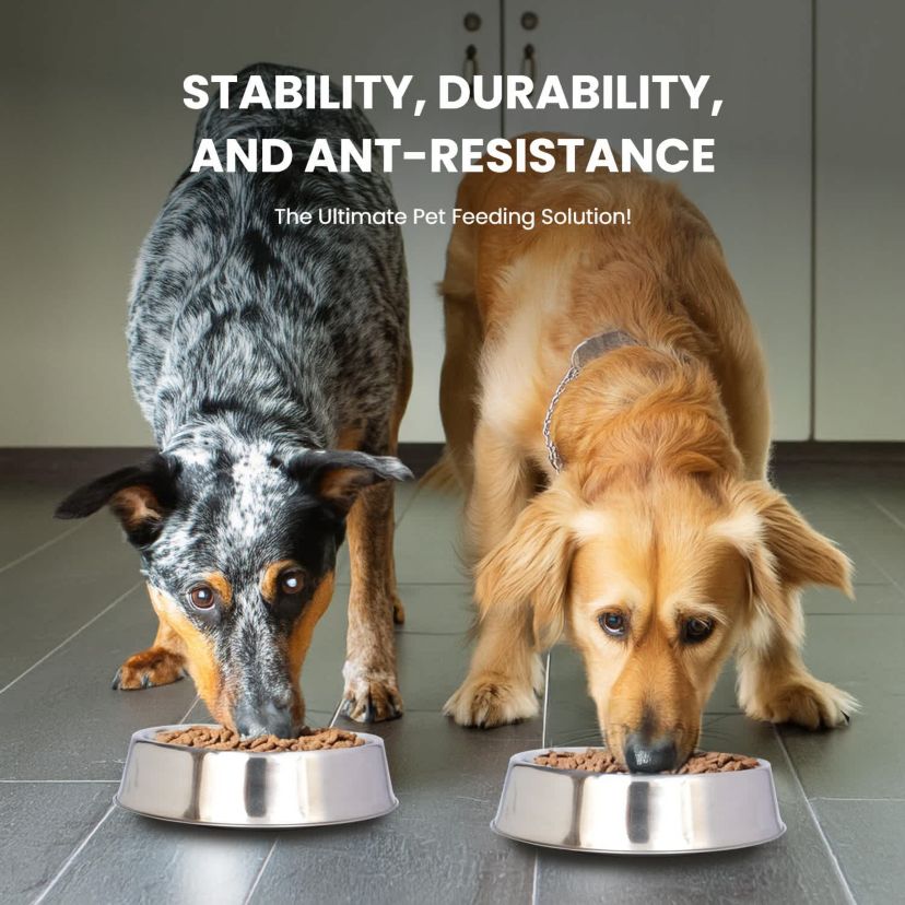 2 Pack Anti Ant Stainless Steel Non Skid Pet Bowl for Dog or Cat - 64 oz - 8 cup