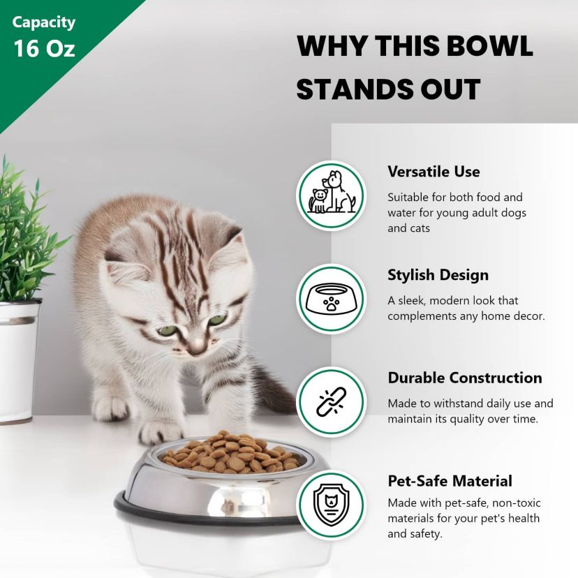 2 Pack Heavy Weight Non-Skid Easy Feed High Back Pet Bowl for Dog or Cat - 16 oz - 2 cup