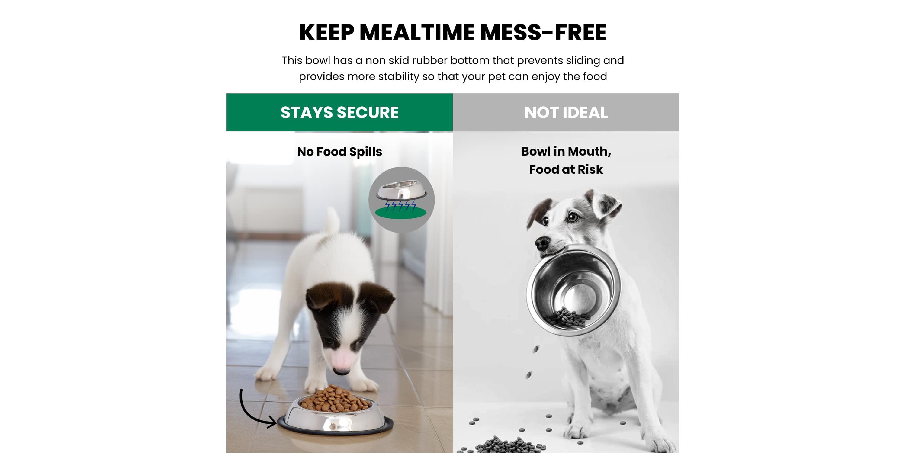 2 Pack Heavy Weight Non-Skid Easy Feed High Back Pet Bowl for Dog or Cat - 16 oz - 2 cup