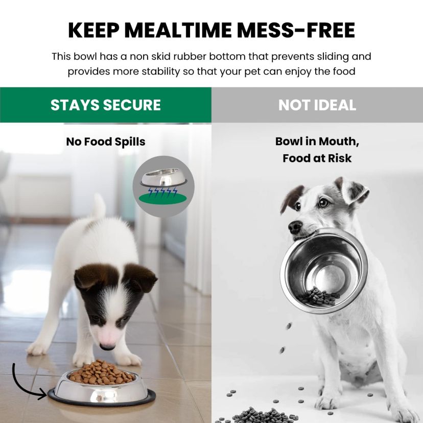 2 Pack Heavy Weight Non-Skid Easy Feed High Back Pet Bowl for Dog or Cat - 16 oz - 2 cup