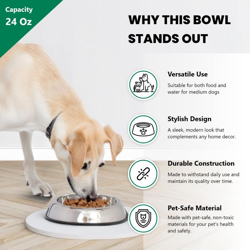 2 Pack Heavy Weight Non-Skid Easy Feed High Back Pet Bowl for Dog or Cat - 24 oz - 3 cup