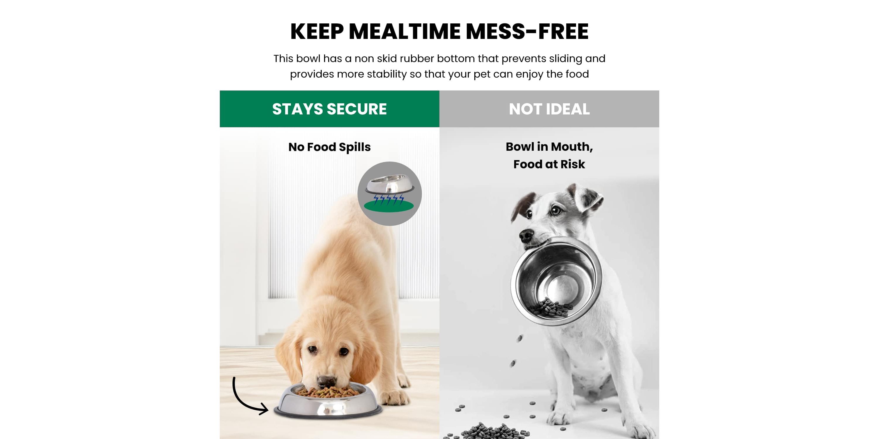 2 Pack Heavy Weight Non-Skid Easy Feed High Back Pet Bowl for Dog or Cat - 24 oz - 3 cup