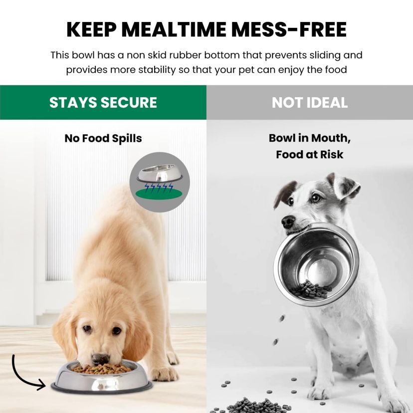 2 Pack Heavy Weight Non-Skid Easy Feed High Back Pet Bowl for Dog or Cat - 24 oz - 3 cup
