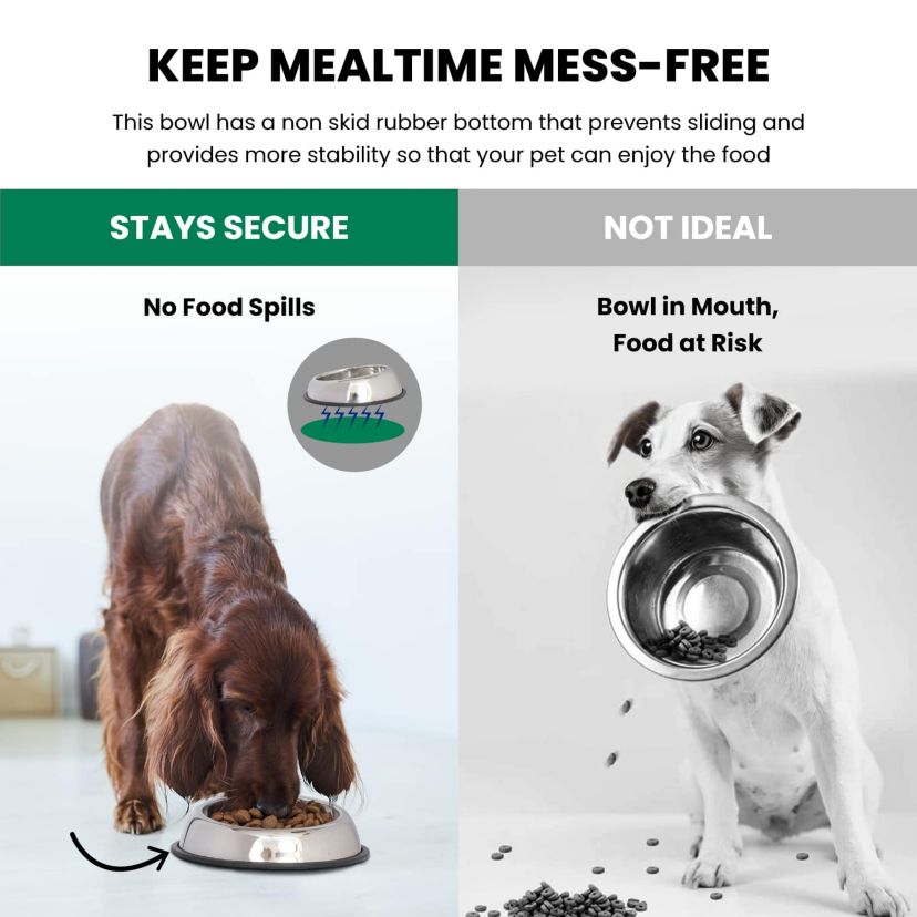 2 Pack Heavy Weight Non-Skid Easy Feed High Back Pet Bowl for Dog or Cat - 32 oz - 4 cup