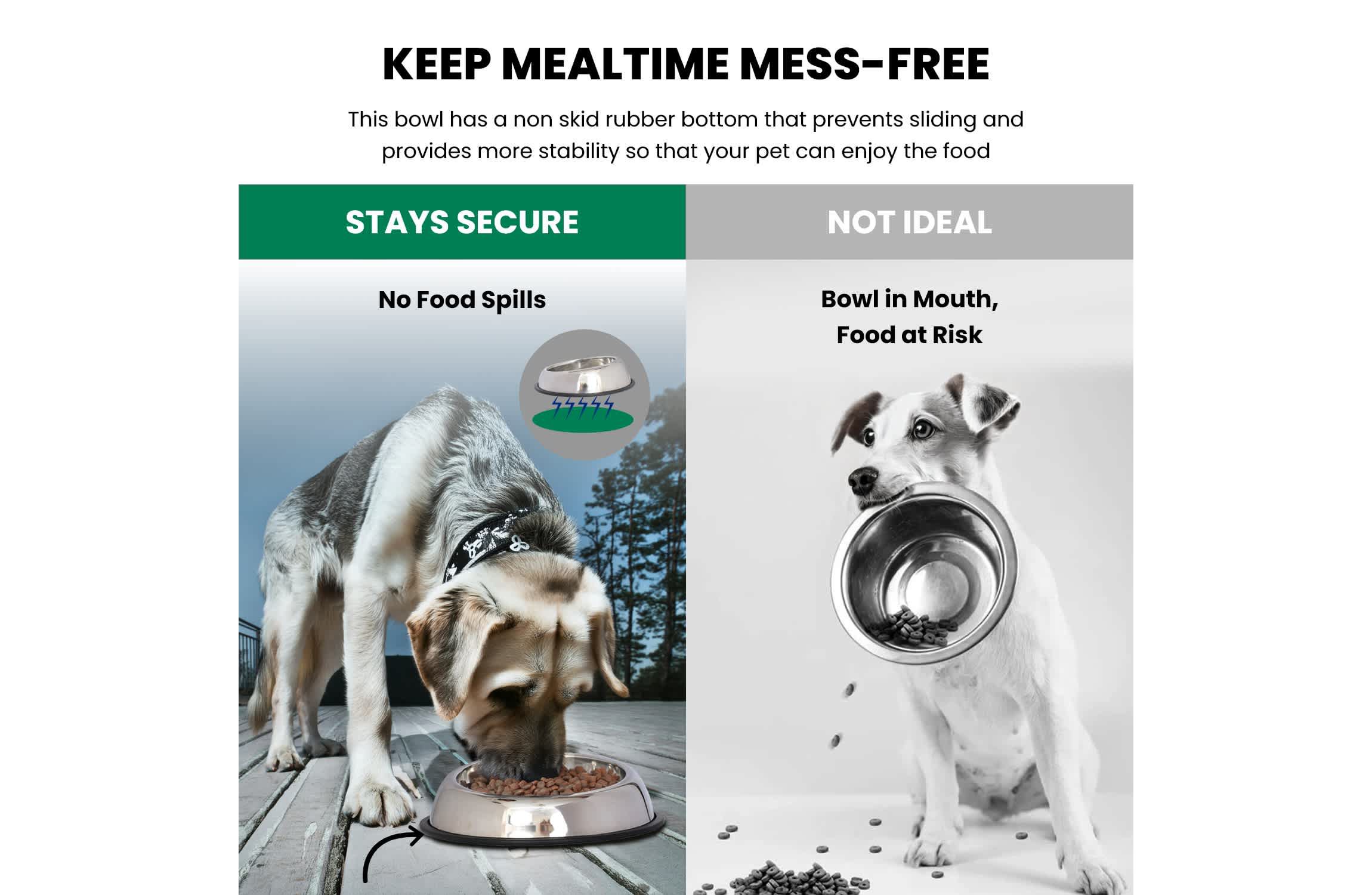 2 Pack Heavy Weight Non-Skid Easy Feed High Back Pet Bowl for Dog or Cat - 64 oz - 8 cup