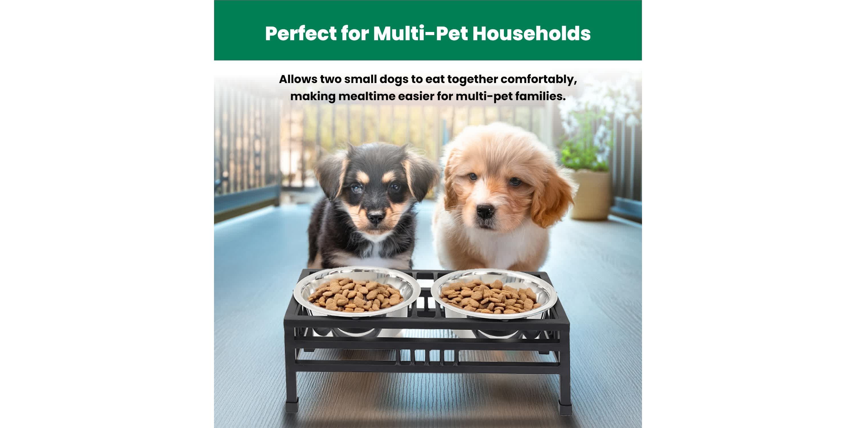 Elevated  Rectangular pet double diner-small
