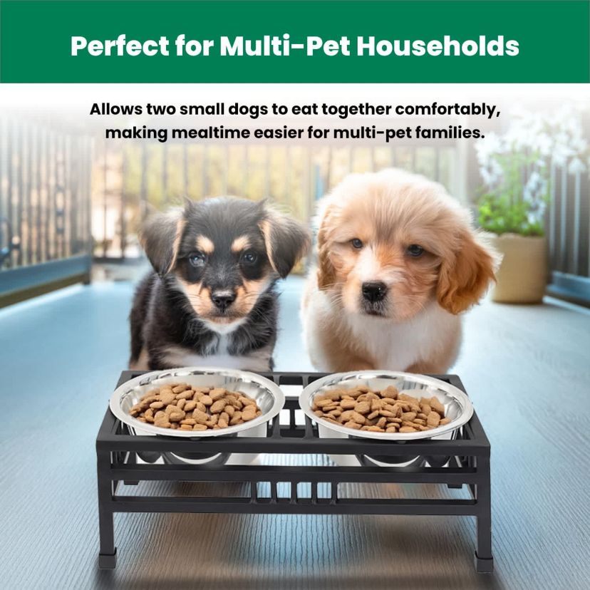 Elevated  Rectangular pet double diner-small