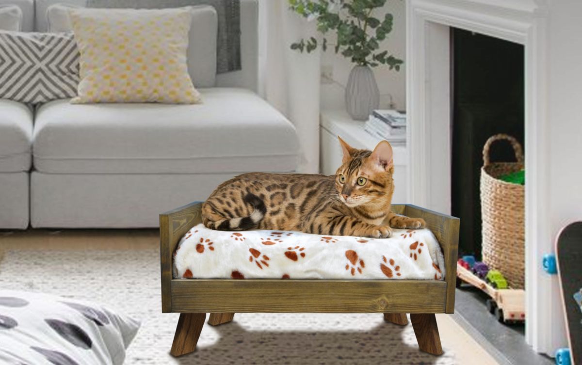 Sassy Paws Raised Wooden Pet Bed with Removable Cushion - Rustic Brown - Medium