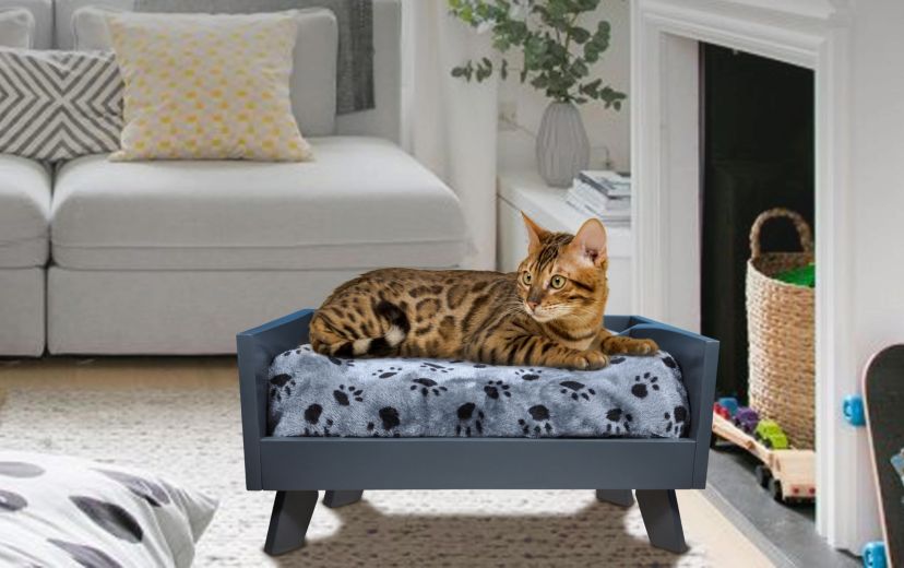 Sassy Paws Raised Wooden Pet Bed with Removable Cushion - Black - Medium