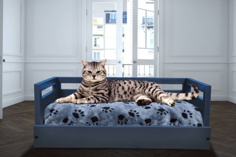 Sassy Paws Wooden Pet Bed with Paw Printed Comfy Cushion - Black - Small
