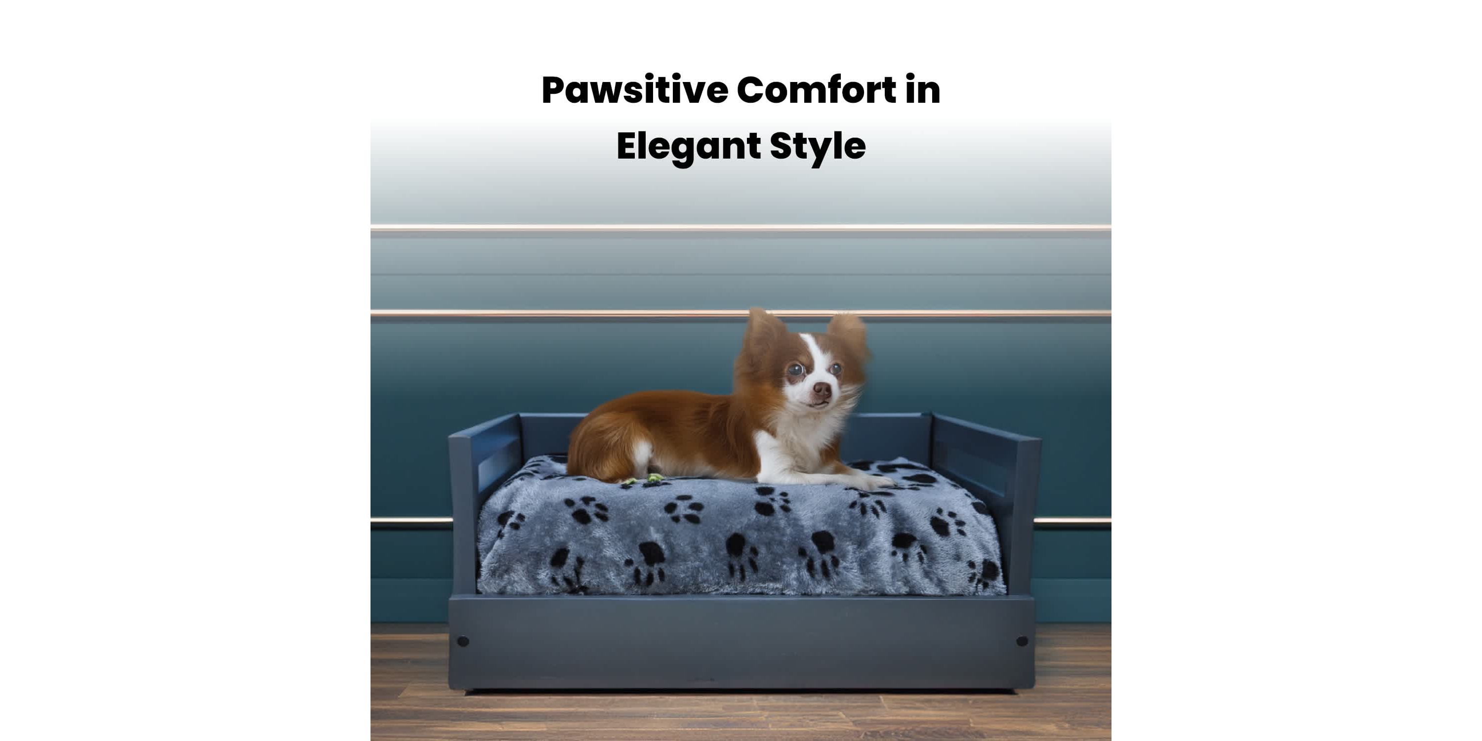 Sassy Paws Wooden Pet Bed with Paw Printed Comfy Cushion - Black - Small