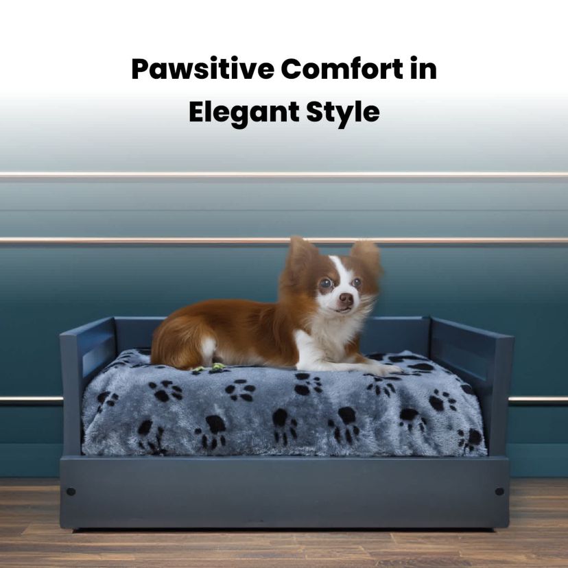Sassy Paws Wooden Pet Bed with Paw Printed Comfy Cushion - Black - Small