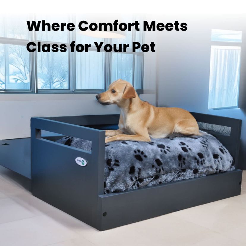 Sassy Paws Wooden Pet Bed with Paw Printed Comfy Cushion - Black - Medium