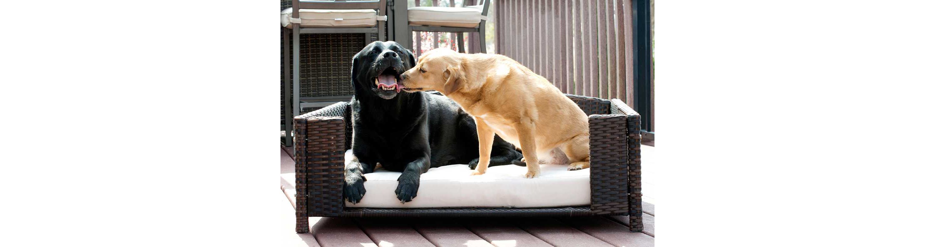 Rattan Rectangular Pet Sofa - Large