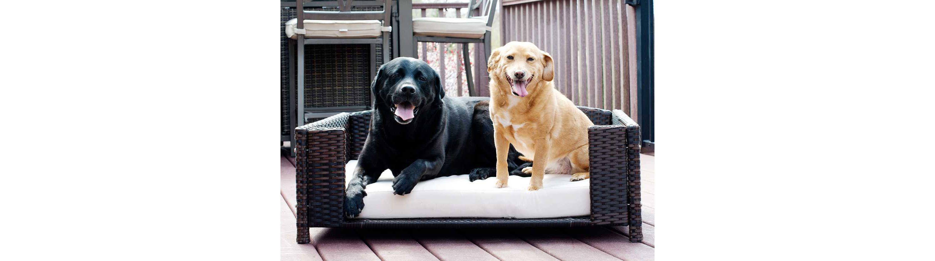 Rattan Rectangular Pet Sofa - Large