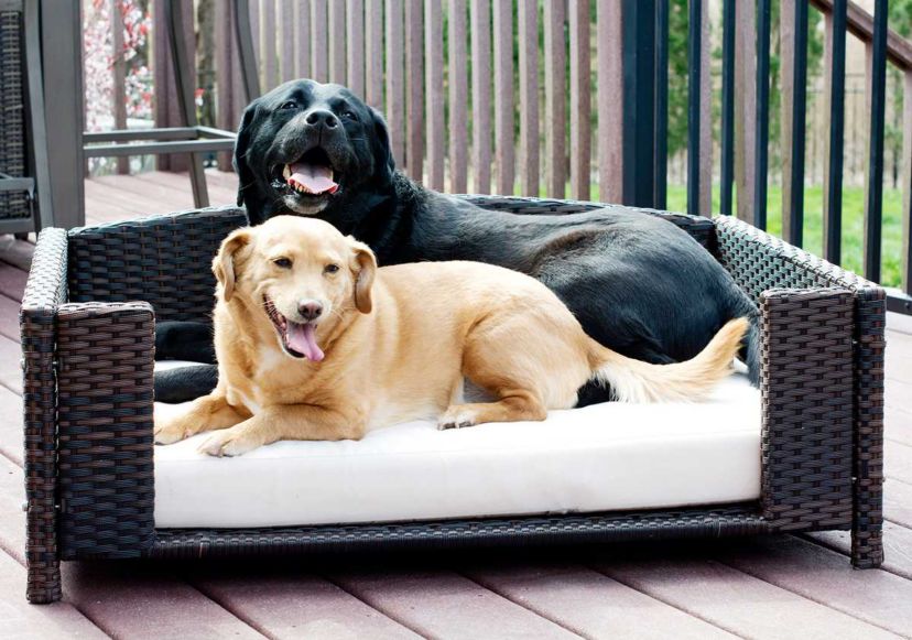 Rattan Rectangular Pet Sofa - Large