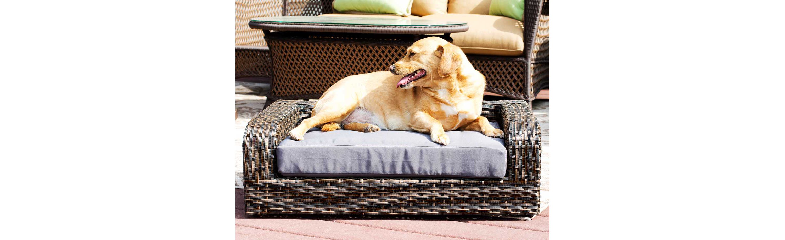Rattan Pet Sofa