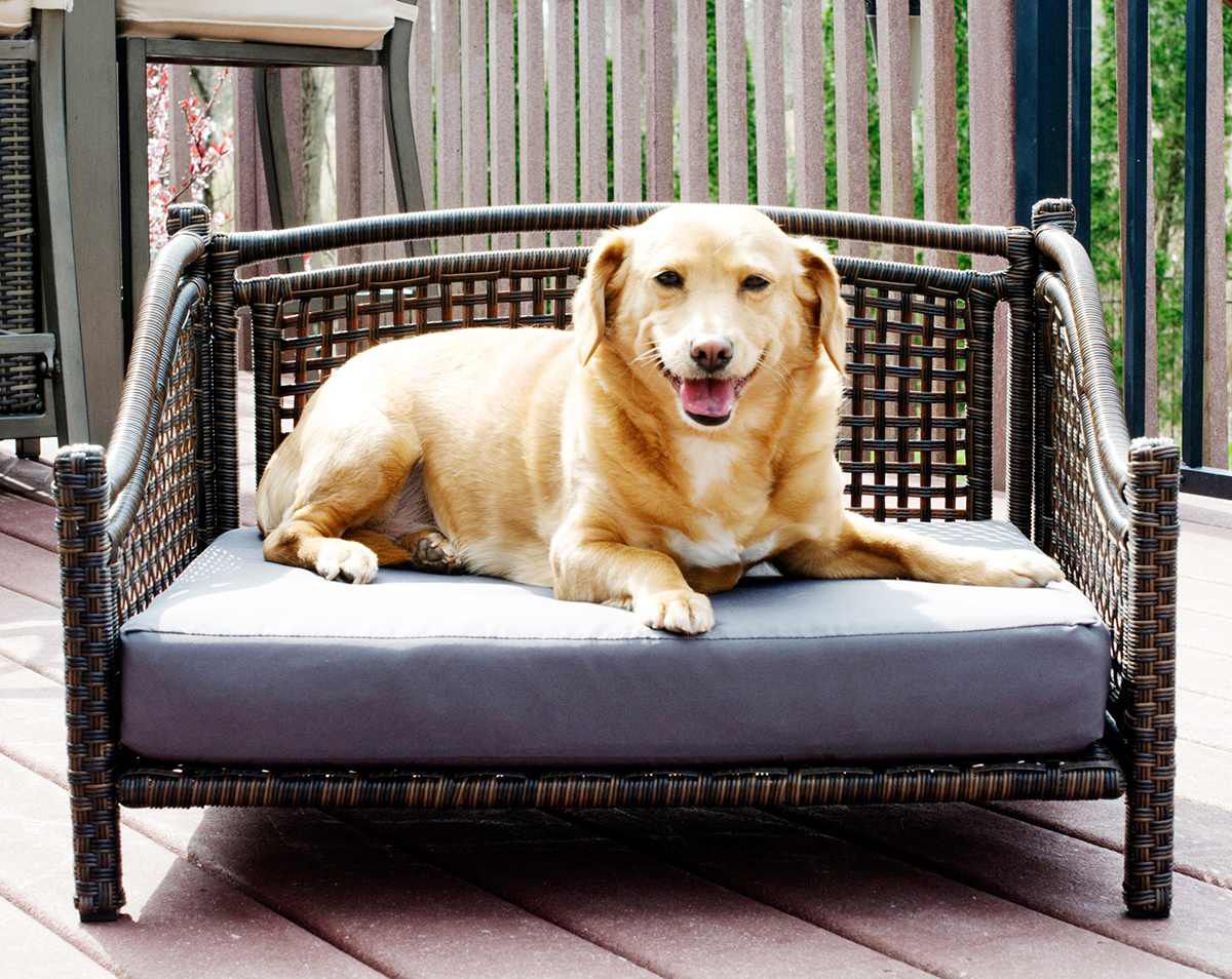 Maharaja Rattan Pet Bed