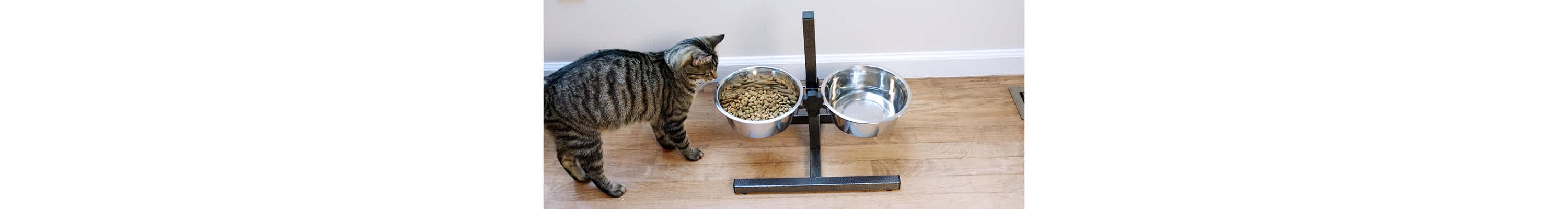Adjustable Stainless Steel Pet Double Diner for Dog (H Design) (Small) - 2 Qt - 64 oz - 8 cup
