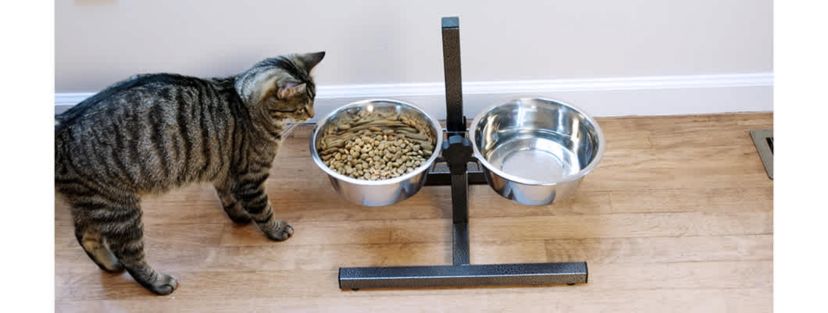 Adjustable Stainless Steel Pet Double Diner for Dog (H Design) (Small) - 2 Qt - 64 oz - 8 cup