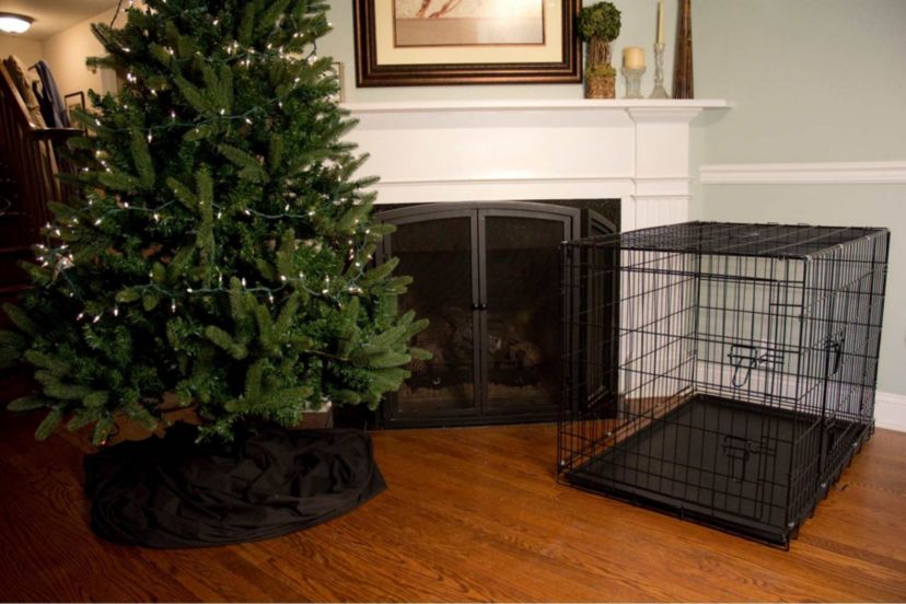 Foldable Double Door Crate with Divider - 24"