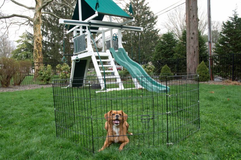 Eight Panel Portable Playpen