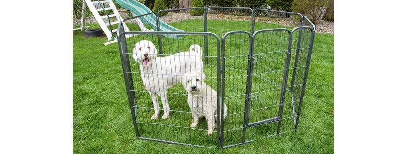 Heavy Duty Metal TubePlaypen - 48" Height