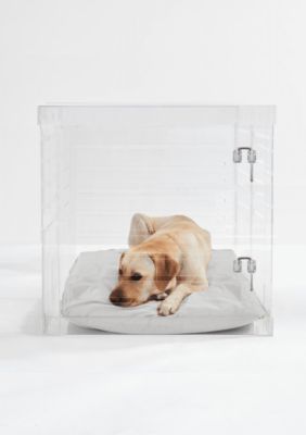 hiddin Large Clear View Pet Crate with Silver Latch
