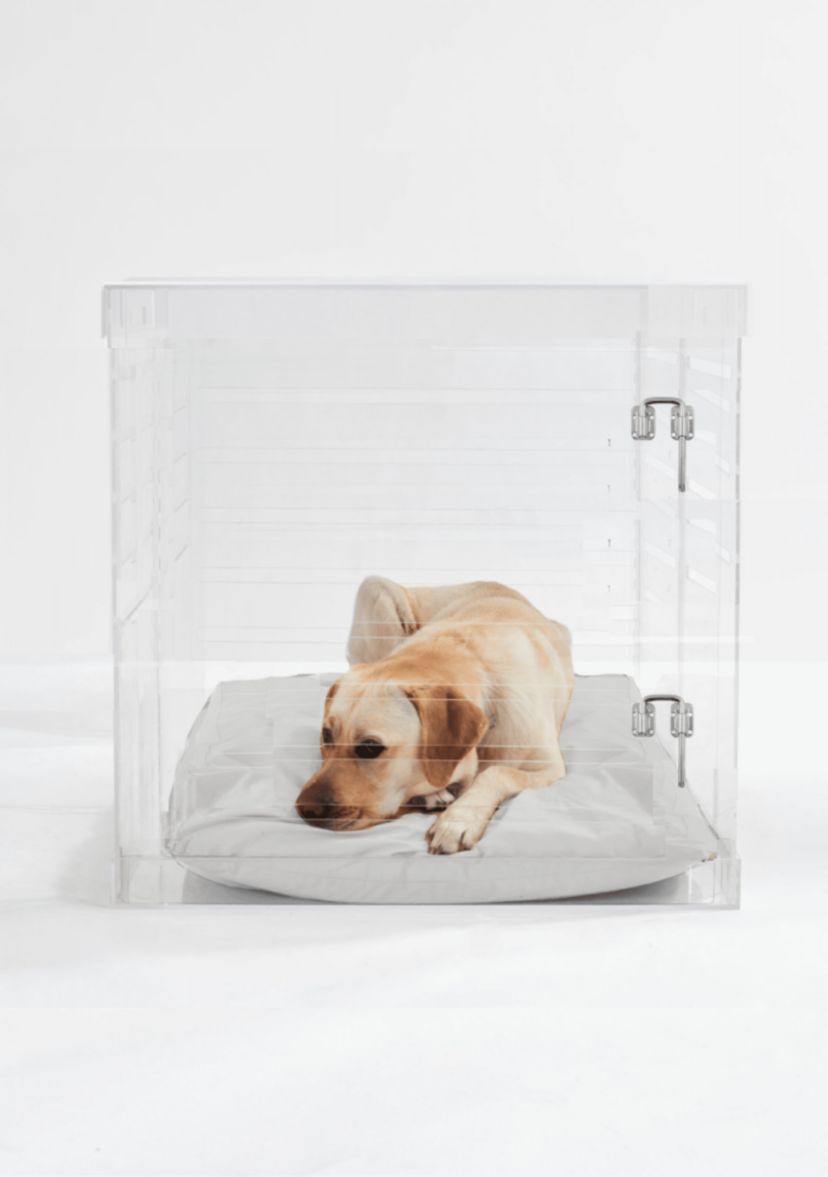 Large Clear View Pet Crate with Silver Latch