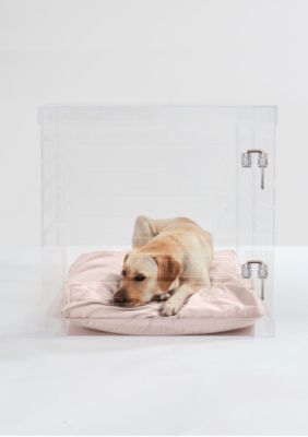 hiddin Large Clear View Pet Crate with Silver Latch