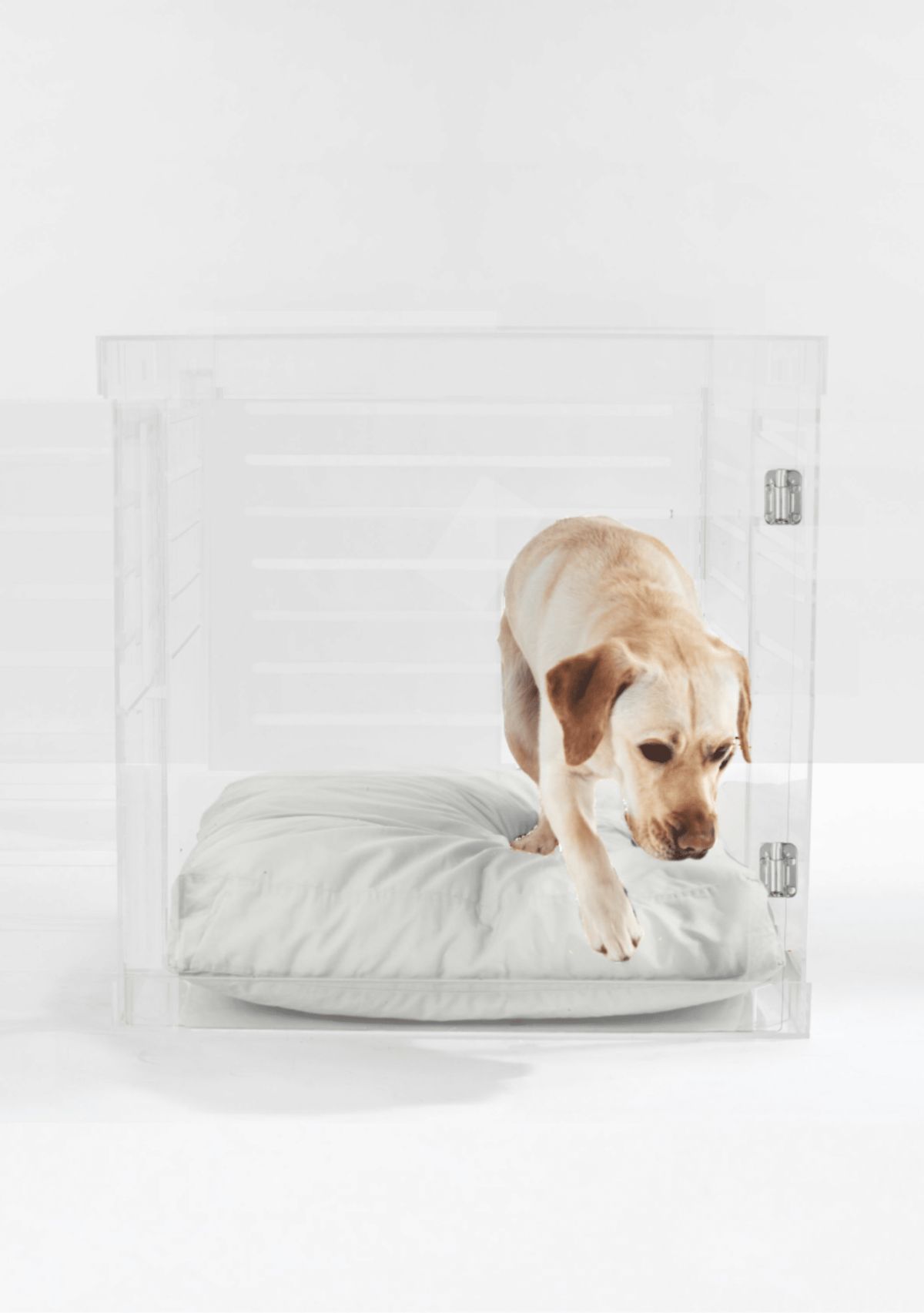 Large Clear View Pet Crate with Silver Latch