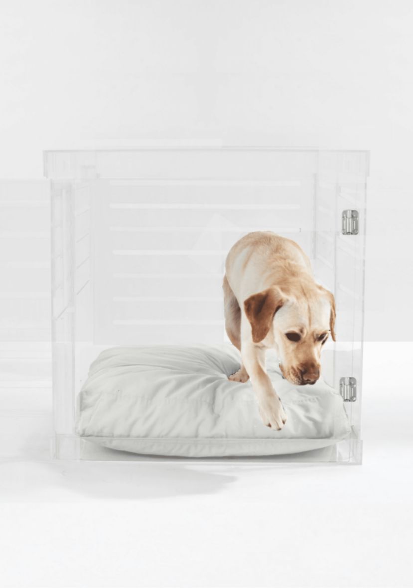 Large Clear View Pet Crate with Silver Latch