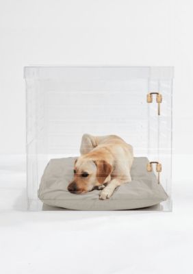 hiddin Large Clear View Pet Crate with Gold Latch