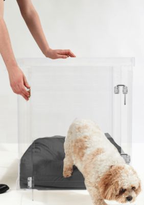 hiddin Medium Clear View Pet Crate with Silver Latch, Grey
