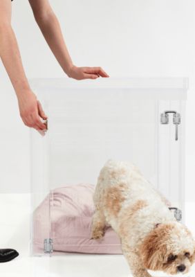 hiddin Medium Clear View Pet Crate with Silver Latch