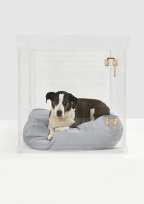 hiddin Medium Clear View Pet Crate with Gold Latch