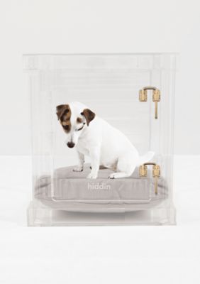hiddin Small Clear View Pet Crate with Gold Latch