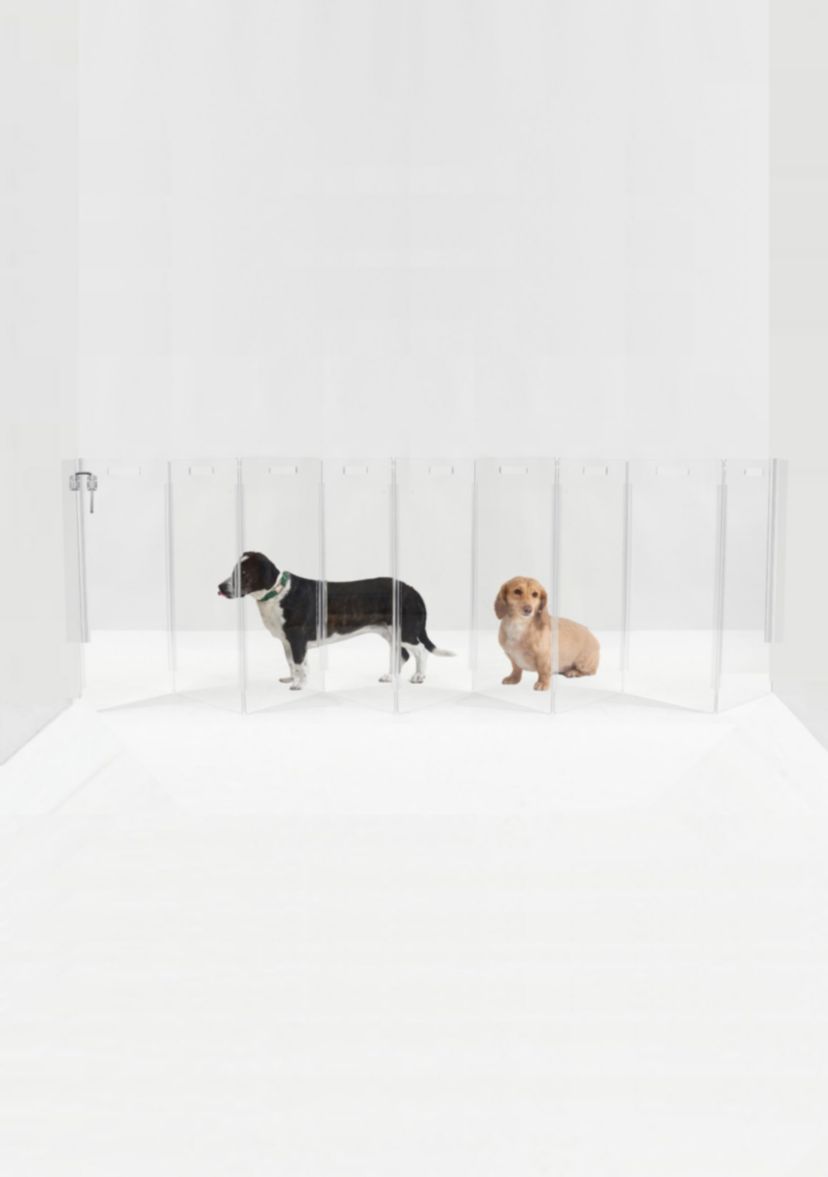 Tall Zig Zag Wall Mounted Clear Pet Gate, 10-panel