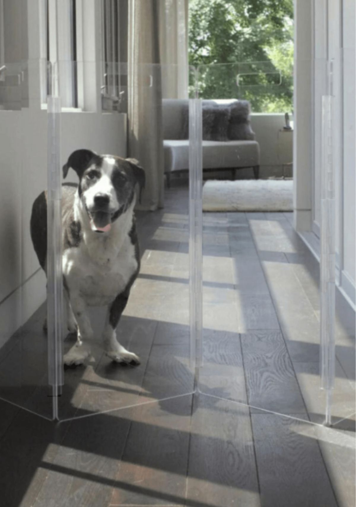 hiddin Tall Zig Zag Clear Pet Gate, 10-panel | Belk