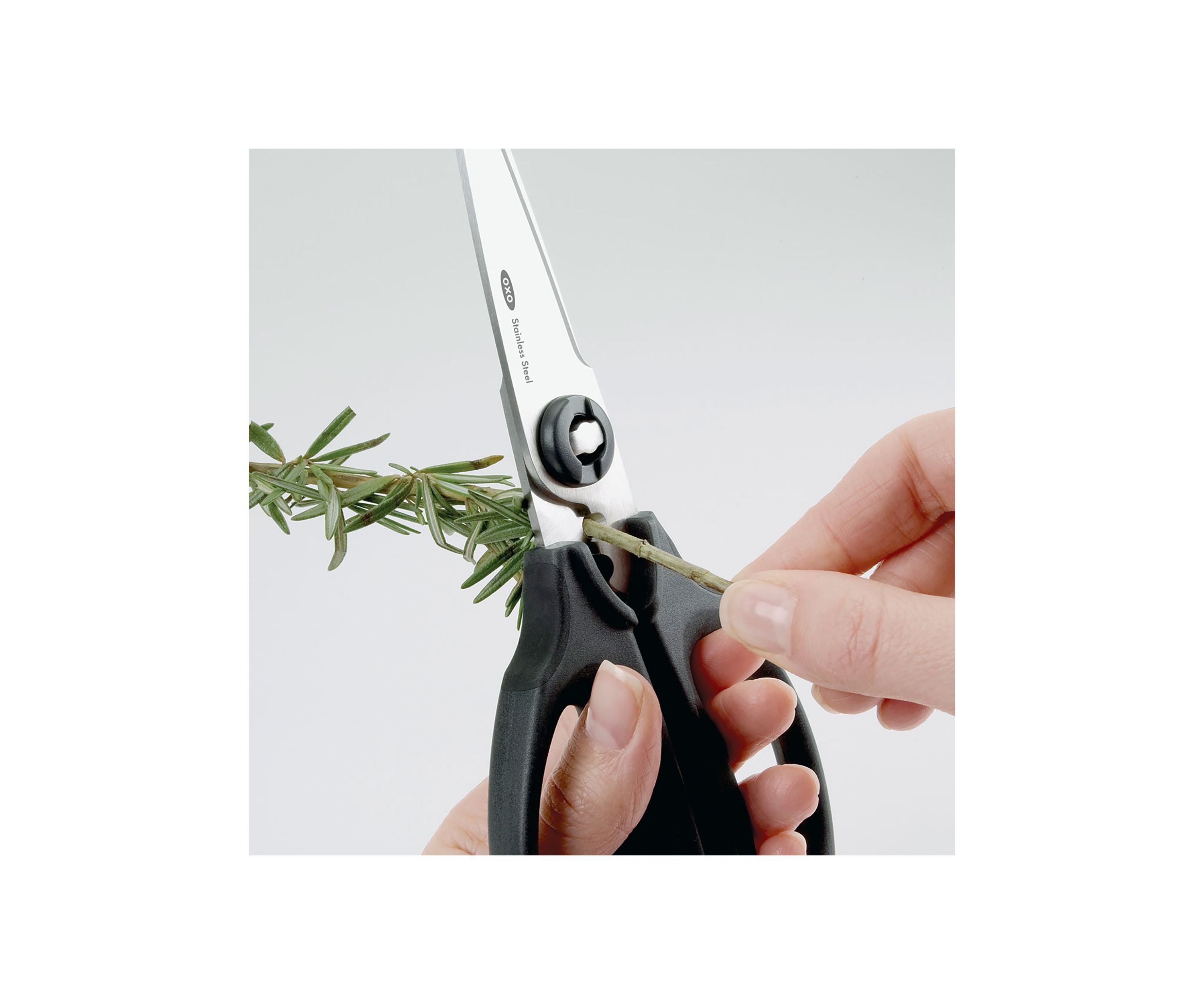 Kitchen and Herb Scissors