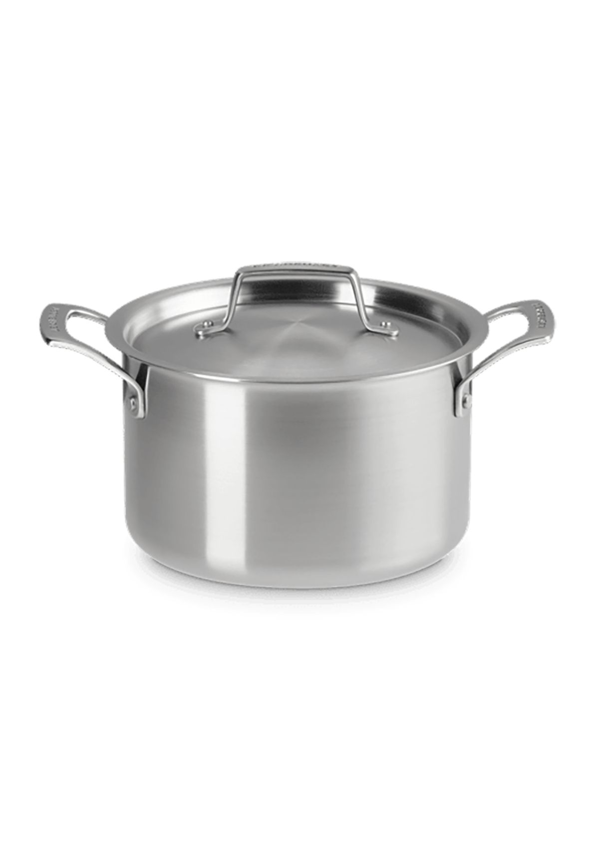 Essential Stainless Steel Stockpot, 4 Quart