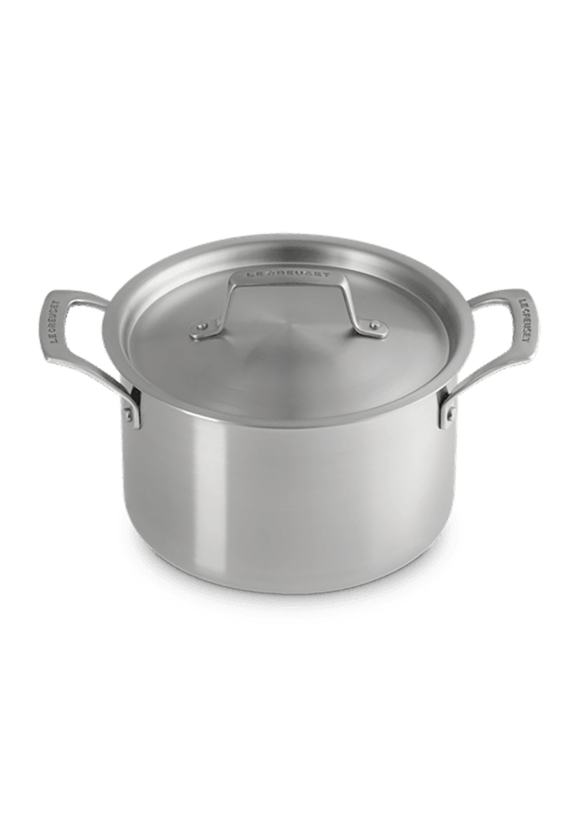 Essential Stainless Steel Stockpot, 4 Quart